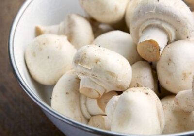 mushroom